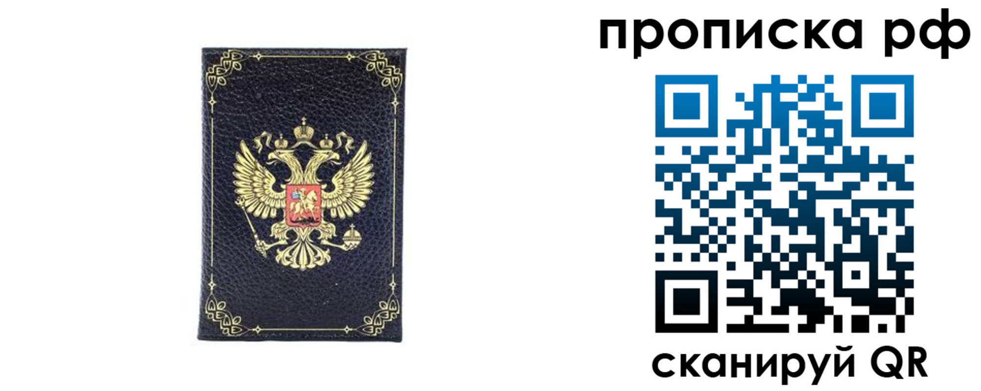 прописка для школы в Выборге